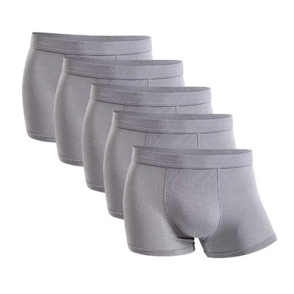 The Bamboo Boxer (Pack Of 5)